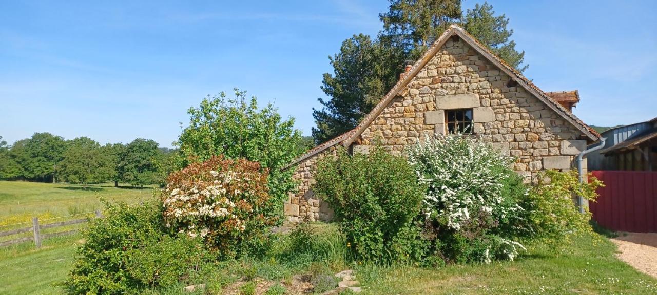 Domaine De Reniere Villa Buxieres-les-Mines Bagian luar foto